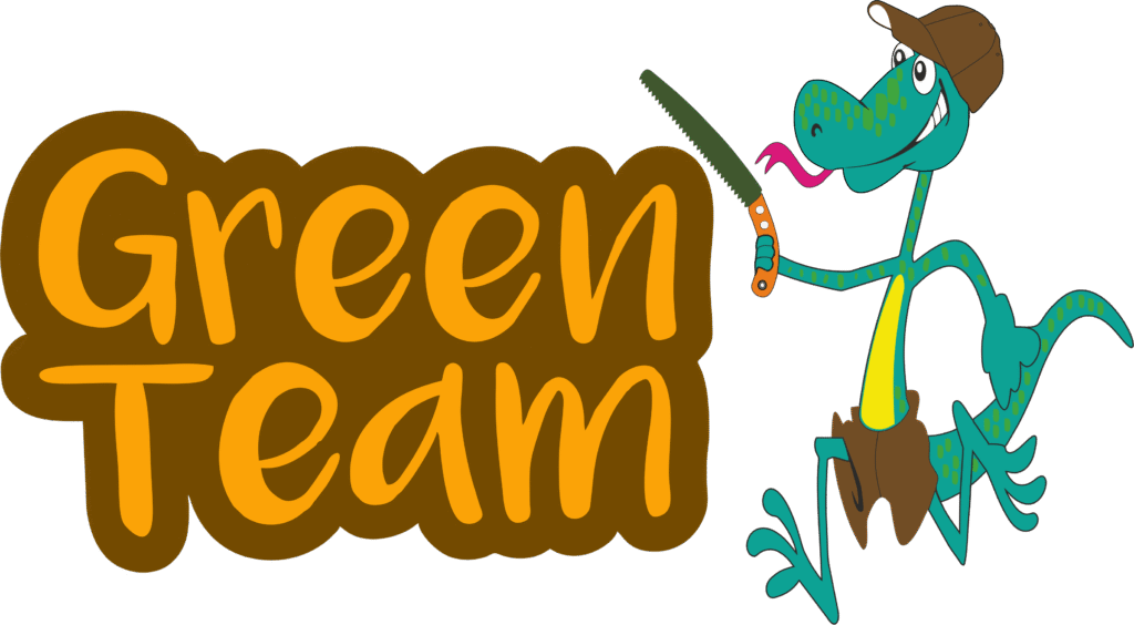 Logo completo green team